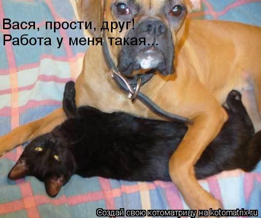 Вася, прости, друг! Работа у меня такая...... Котоматрица: Вася, прости, друг! Работа у меня такая...