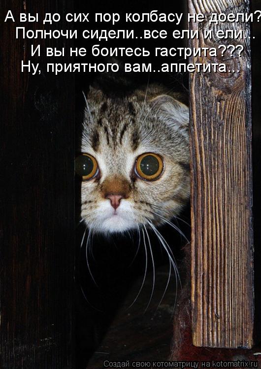 Котоматрица: А вы до сих пор колбасу не доели?  И вы не боитесь гастрита??? Ну, приятного вам..аппетита... Полночи сидели..все ели и ели...