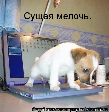 Котоматрица: Сущая мелочь.