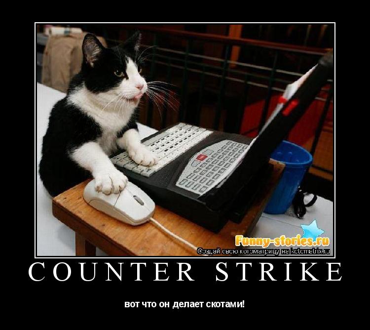 Counter Strike вот что он делает скотами!... Котоматрица: Counter Strike вот что он делает скотами!