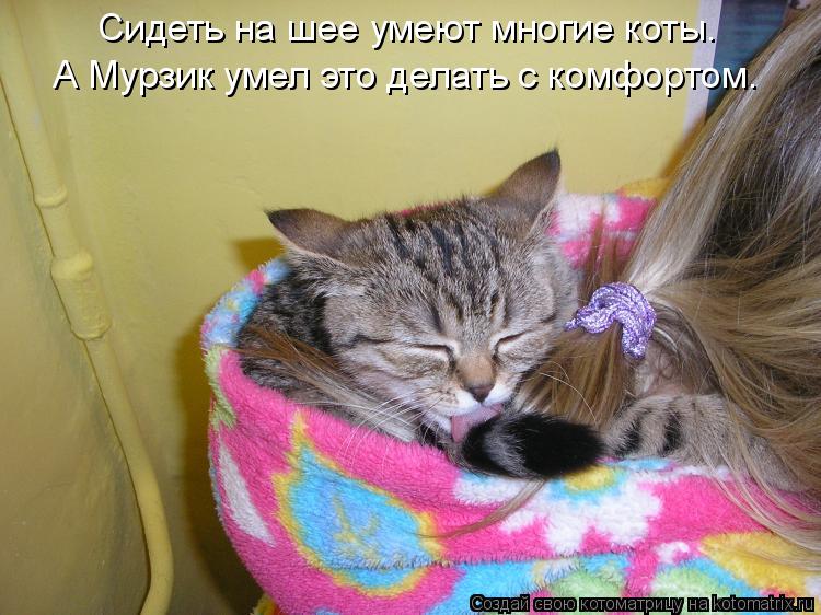 Сидеть на шее умеют многие коты. А Мурзик умел это делать с комфортом.... Котоматрица: Сидеть на шее умеют многие коты. А Мурзик умел это делать с комфортом.