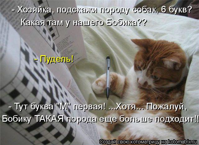 - Хозяйка, подскажи породу собак, 6 букв? Какая там у нашего Бобика?? - Пудель! - Тут буква "М" перв... Котоматрица: - Хозяйка, подскажи породу собак, 6 букв? Какая там у нашего Бобика?? - Пудель! - Тут буква "М" первая! ...Хотя... Пожалуй, Бобику ТАКАЯ порода еще б