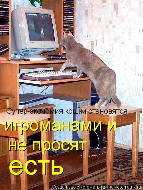 Супер экономия кошки становятся игроманами и не просят есть... Котоматрица: Супер экономия кошки становятся игроманами и не просят есть