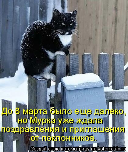 поздравления и приглашения от поклонников. До 8 марта было еще далеко, но Мурка уже ждала... Котоматрица: поздравления и приглашения от поклонников. До 8 марта было еще далеко, но Мурка уже ждала