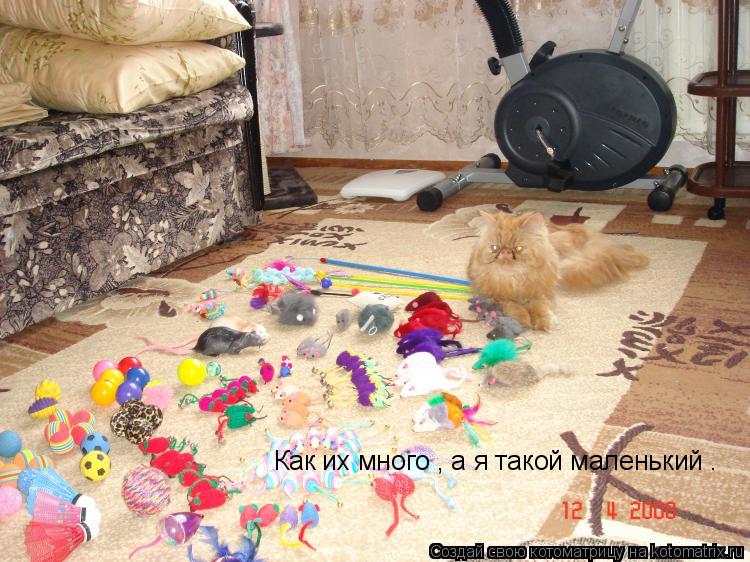 Как их много , а я такой маленький .... Котоматрица: Как их много , а я такой маленький .
