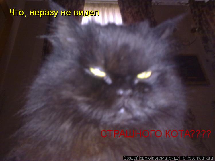 Котоматрица: Что, неразу не видел СТРАШНОГО КОТА ????
