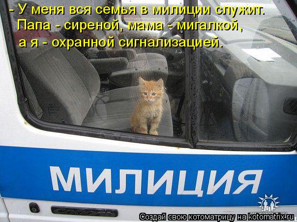 Котоматрица: - У меня вся семья в милиции служит. Папа - сиреной, мама - мигалкой, а я - охранной сигнализацией.