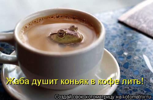 Жаба душит коньяк в кофе лить!... Котоматрица: Жаба душит коньяк в кофе лить!