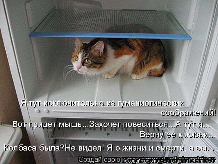 Я тут исключительно из гуманистических соображений! Вот придет мышь...Захочет повеситься...А тут я.... Котоматрица: Я тут исключительно из гуманистических соображений! Вот придет мышь...Захочет повеситься...А тут я... Верну ее к жизни... Колбаса была?Не виде