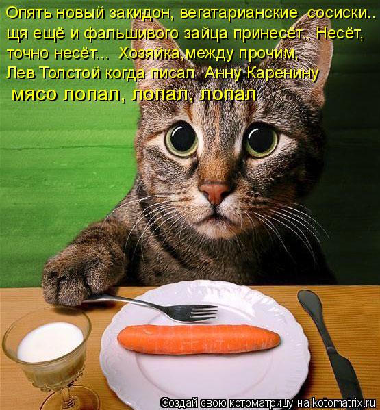 Опять новый закидон, вегатарианские сосиски.. щя ещё и фальшивого зайца принесёт.. Несёт, точно не... Котоматрица: Опять новый закидон, вегатарианские сосиски.. щя ещё и фальшивого зайца принесёт.. Несёт, точно несёт... Хозяйка,между прочим, Лев Толстой