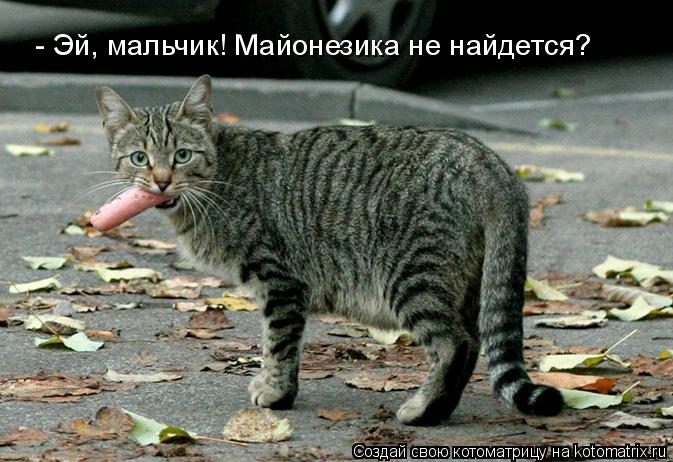 - Эй, мальчик! Майонезика не найдется?... Котоматрица: - Эй, мальчик! Майонезика не найдется?