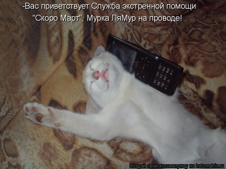 -Вас приветствует Служба экстренной помощи "Скоро Март", Мурка ЛяМур на проводе!... Котоматрица: -Вас приветствует Служба экстренной помощи "Скоро Март", Мурка ЛяМур на проводе!