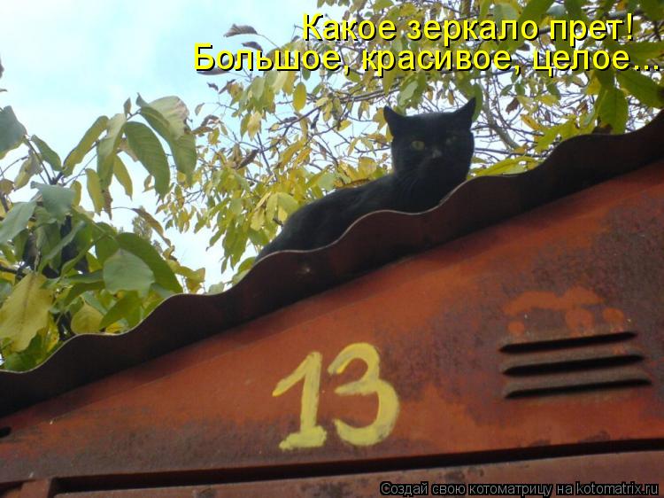 Большое, красивое, целое... Какое зеркало прет!... Котоматрица: Большое, красивое, целое... Какое зеркало прет!