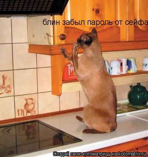 блин забыл пароль от сейфа... Котоматрица: блин забыл пароль от сейфа