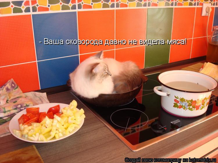 Котоматрица: - Ваша сковорода давно не видела мяса!