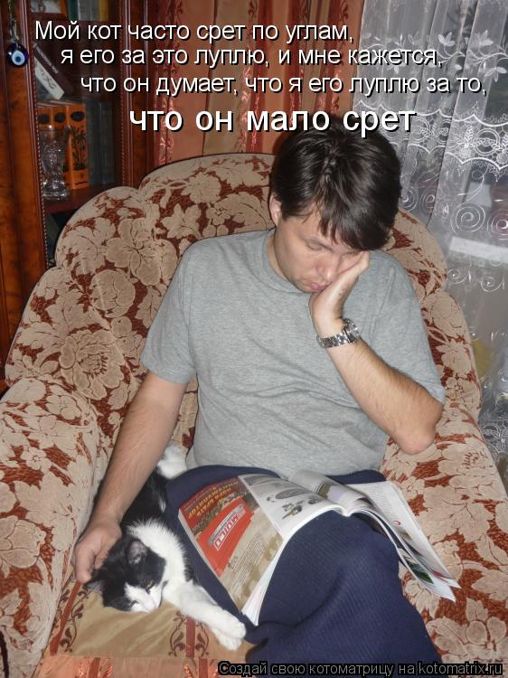 Котоматрица: Мой кот часто срет по углам, я его за это луплю, и мне кажется, что он думает, что я его луплю за то, что он мало срет