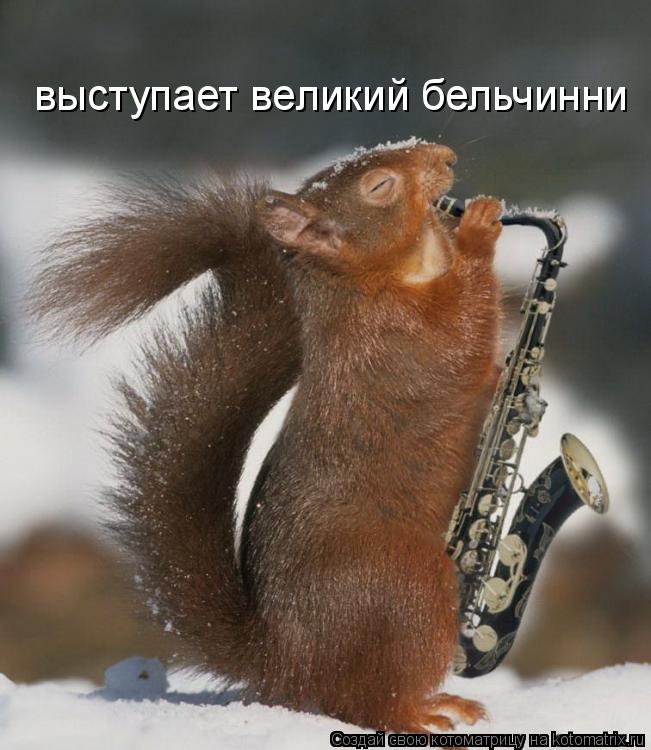 выступает великий бельчинни... Котоматрица: выступает великий бельчинни