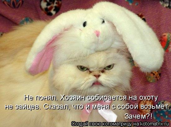 Котоматрица: Не понял. Хозяин собирается на охоту  не зайцев. Сказал, что и меня с собой возьмёт.  Зачем?!