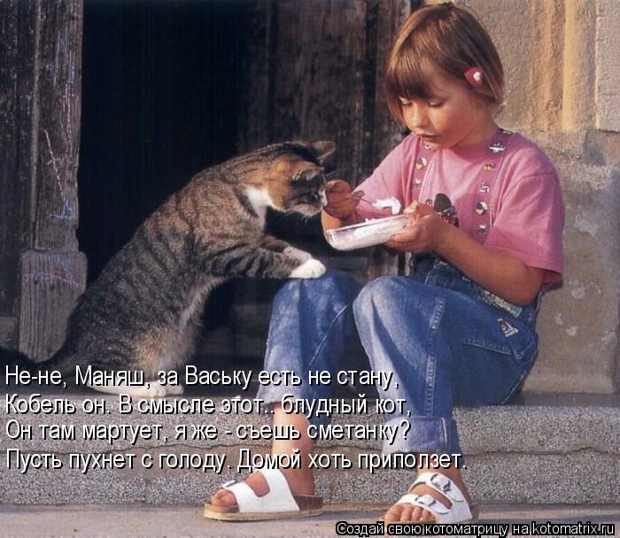 Котоматрица: Не-не, Маняш, за Ваську есть не стану, Кобель он. В смысле этот.. блудный кот, Пусть пухнет с голоду. Домой хоть приползет. Он там мартует, я же - 