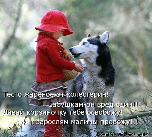 Тесто жареное-эт холестерин! Бабушкам-он вред один!!! Давай корзиночку тебе освобожу! И к зарослям м... Котоматрица: Тесто жареное-эт холестерин! Бабушкам-он вред один!!! Давай корзиночку тебе освобожу! И к зарослям малины провожу!!!