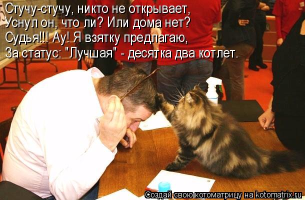 Котоматрица: Стучу-стучу, никто не открывает, Уснул он, что ли? Или дома нет? Судья!!! Ау! Я взятку предлагаю, За статус: "Лучшая" - десятка два котлет.