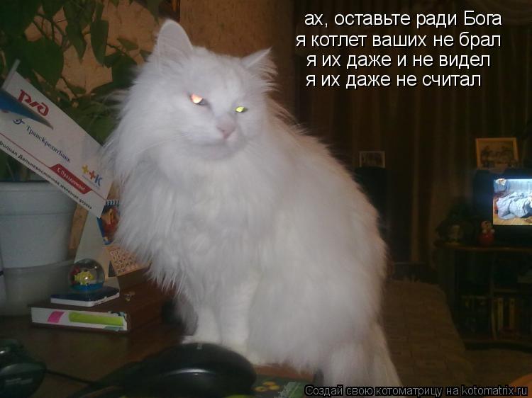 Котоматрица: ах, оставьте ради Бога я котлет ваших не брал я их даже и не видел я их даже не считал