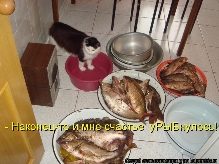 - Наконец-то и мне счастье уРЫБнулось!... Котоматрица: - Наконец-то и мне счастье уРЫБнулось!