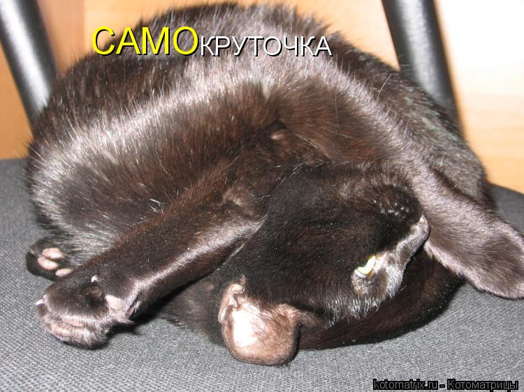Котоматрица: САМО КРУТОЧКА