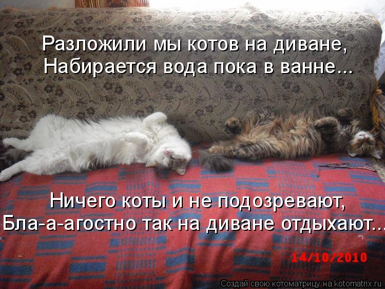 Котоматрица: Бла-а-агостно так на диване отдыхают... Разложили мы котов на диване, Набирается вода пока в ванне... Ничего коты и не подозревают,