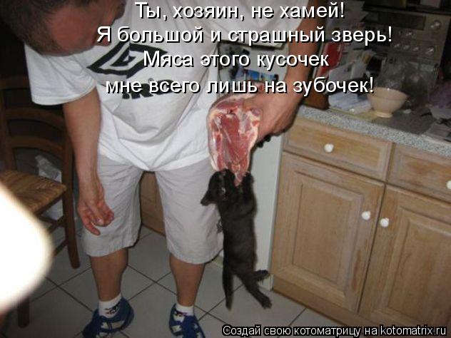 Ты, хозяин, не хамей! Я большой и страшный зверь! Мяса этого кусочек мне всего лишь на зубочек!... Котоматрица: Ты, хозяин, не хамей! Я большой и страшный зверь! Мяса этого кусочек мне всего лишь на зубочек!