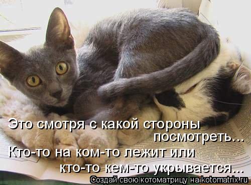 Это смотря с какой стороны посмотреть... Кто-то на ком-то лежит или кто-то кем-то укрывается...... Котоматрица: Это смотря с какой стороны посмотреть... Кто-то на ком-то лежит или кто-то кем-то укрывается...