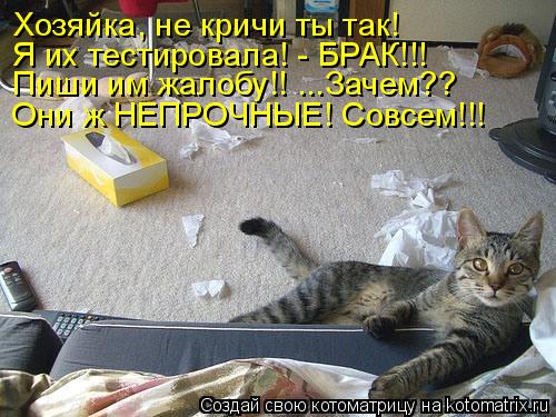 Котоматрица: Хозяйка, не кричи ты так! Я их тестировала! - БРАК!!! Пиши им жалобу!! ...Зачем?? Они ж НЕПРОЧНЫЕ! Совсем!!!