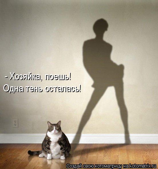 - Хозяйка, поешь! Одна тень осталась!... Котоматрица: - Хозяйка, поешь! Одна тень осталась!