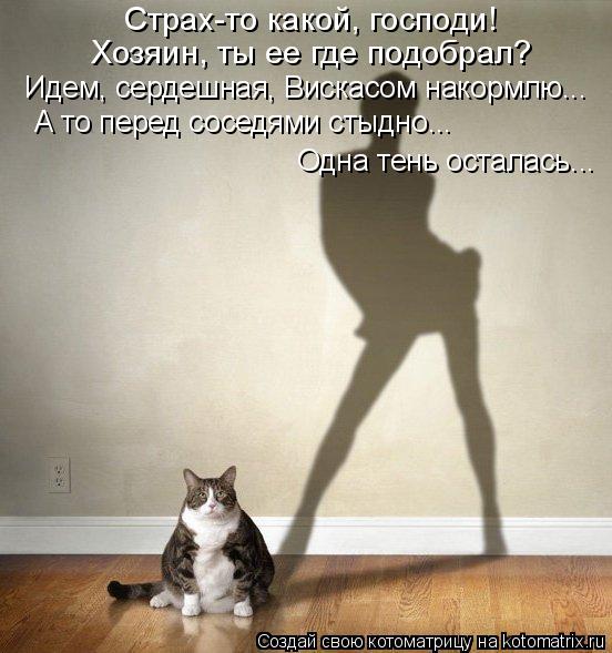 Страх-то какой, господи! Хозяин, ты ее где подобрал? Идем, сердешная, Вискасом накормлю... А то пер... Котоматрица: Страх-то какой, господи! Хозяин, ты ее где подобрал? Идем, сердешная, Вискасом накормлю... А то перед соседями стыдно... Одна тень осталась...