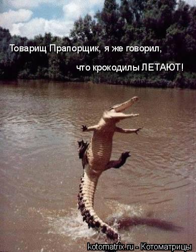 Котоматрица: Товарищ Прапорщик, я же говорил,  что крокодилы ЛЕТАЮТ!