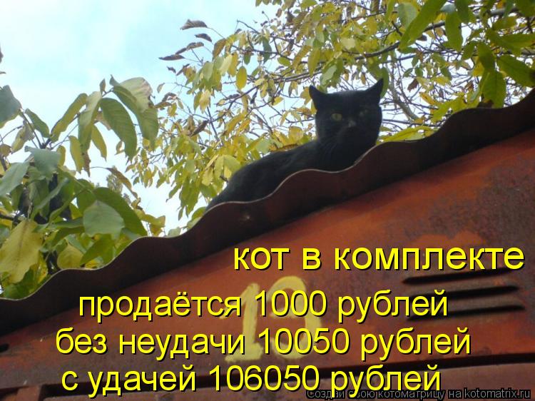 продаётся 1000 рублей без неудачи 10050 рублей с удачей 106050 рублей кот в комплекте... Котоматрица: продаётся 1000 рублей без неудачи 10050 рублей с удачей 106050 рублей кот в комплекте