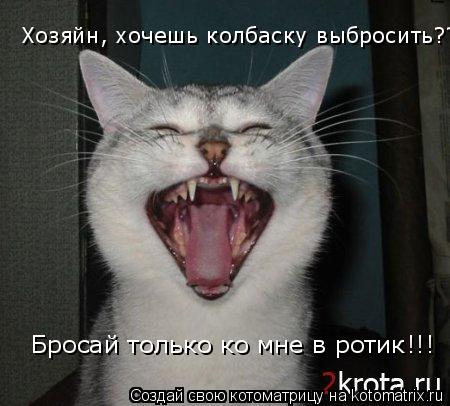 Котоматрица: Бросай только ко мне в ротик!!! Хозяйн, хочешь колбаску выбросить??