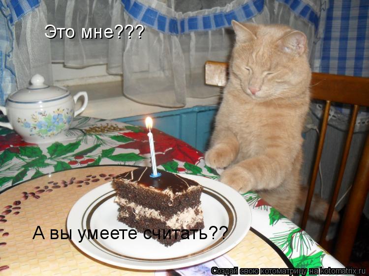 Это мне??? А вы умеете считать??... Котоматрица: Это мне??? А вы умеете считать??