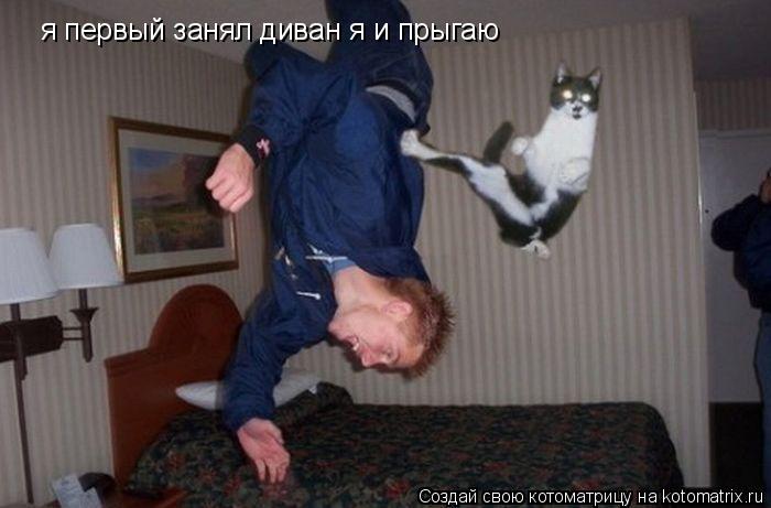я первый занял диван я и прыгаю... Котоматрица: я первый занял диван я и прыгаю