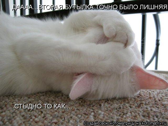 ДАААА...ВТОРАЯ БУТЫЛКА ТОЧНО БЫЛО ЛИШНЯЯ... СТЫДНО ТО КАК....... Котоматрица: ДАААА...ВТОРАЯ БУТЫЛКА ТОЧНО БЫЛО ЛИШНЯЯ... СТЫДНО ТО КАК....