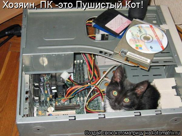 Хозяин, ПК -это Пушистый Кот!... Котоматрица: Хозяин, ПК -это Пушистый Кот!