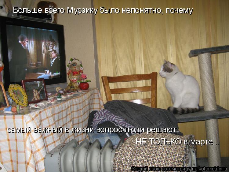 Больше всего Мурзику было непонятно, почему самый важный в жизни вопрос люди решают НЕ ТОЛЬКО в март... Котоматрица: Больше всего Мурзику было непонятно, почему самый важный в жизни вопрос люди решают НЕ ТОЛЬКО в марте...