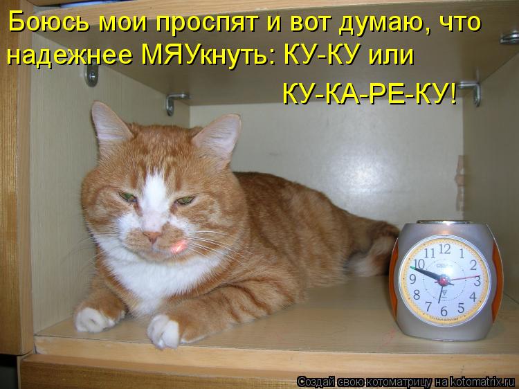Котоматрица: Боюсь мои проспят и вот думаю, что надежнее МЯУкнуть: КУ-КУ или КУ-КА-РЕ-КУ!