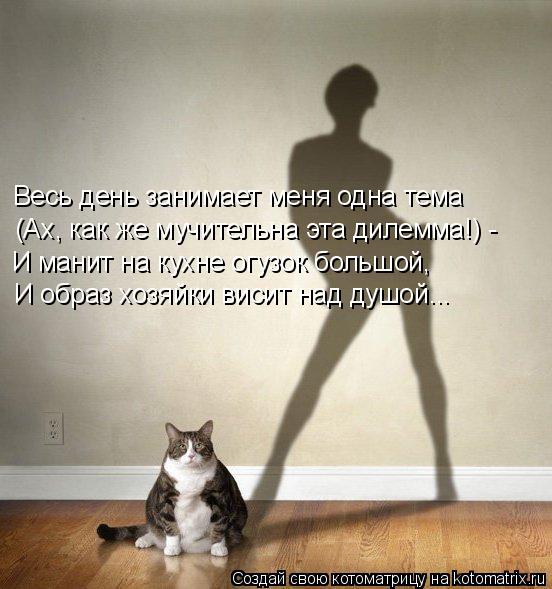 Котоматрица: Весь день занимает меня одна тема (Ах, как же мучительна эта дилемма!) - И манит на кухне огузок большой, И образ хозяйки висит над душой...