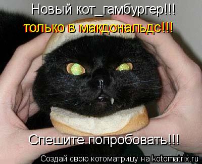 Новый кот_гамбургер!!! Спешите попробовать!!! только в макдональдс!!! только в макдональдс!!!... Котоматрица: Новый кот_гамбургер!!! Спешите попробовать!!! только в макдональдс!!! только в макдональдс!!!
