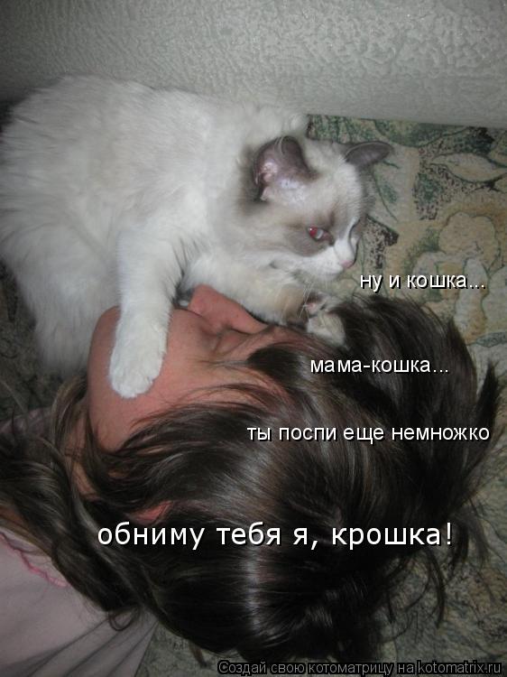 Котоматрица: ну и кошка... мама-кошка... ты поспи еще немножко обниму тебя я, крошка!