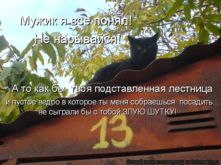 Мужик я все понял! Не нарывайся! А то как бы твоя подставленная лестница и пустое ведро в которое т... Котоматрица: Мужик я все понял! Не нарывайся! А то как бы твоя подставленная лестница и пустое ведро в которое ты меня собраешься посадить... не сыграли