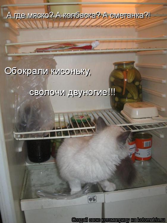 А где мяско? А колбаска? А сметанка?! Обокрали кисоньку, сволочи двуногие!!!... Котоматрица: А где мяско? А колбаска? А сметанка?! Обокрали кисоньку, сволочи двуногие!!!