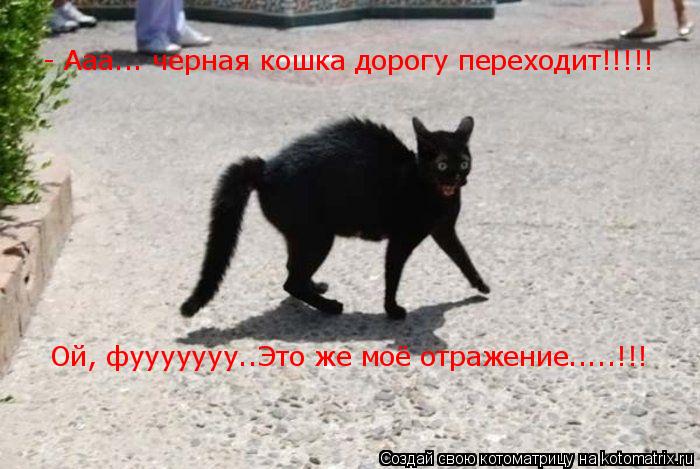 - Ааа... черная кошка дорогу переходит!!!!! Ой, фууууууу..Это же моё отражение.....!!!... Котоматрица: - Ааа... черная кошка дорогу переходит!!!!! Ой, фууууууу..Это же моё отражение.....!!!