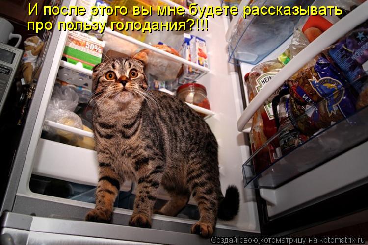 Котоматрица: И после этого вы мне будете рассказывать про пользу голодания?!!!